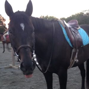 Meet your Posher, Hailey